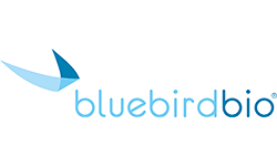 bluebird bio